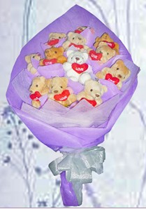 12 adet pelu� ay�dan buket erkeklere hediye babaya anneye hediye i�in g�nderebilirsiniz 