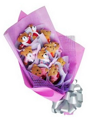 11 adet pelu� ay�c�ktan g�rsel buket 