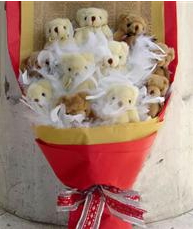11 adet pelu� ay�dan ay� buketi 