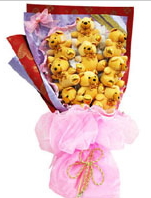 15 adet pelu� ay�dan ay� buketi 