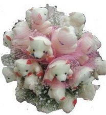 15 adet ay�c�ktan g�rsel buket pelu� ay� buketi 